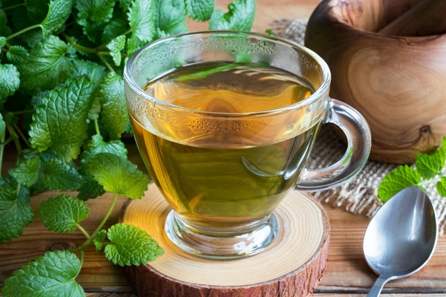 Erva cidreira: 10 benefícios para a saúde e como fazer o chá