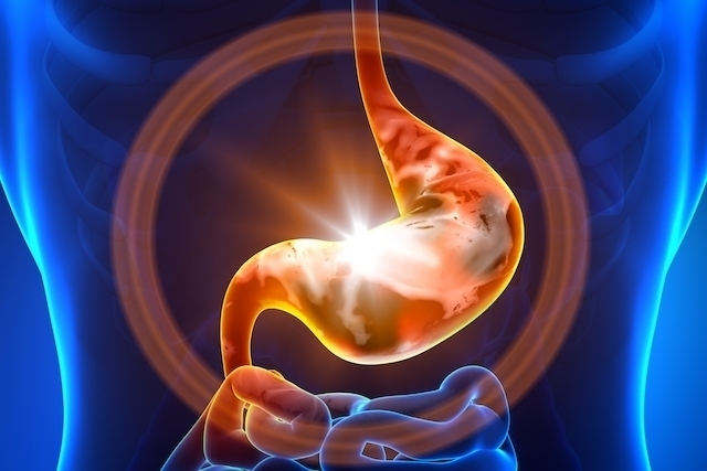 Sistema digestório: funções, órgãos e processo digestivo