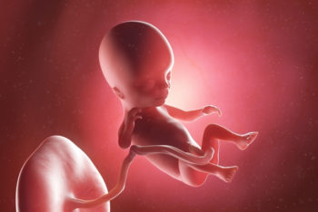 Desenvolvimento do bebê – 14 semanas de gestação – Tua Saúde