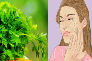 Use as folhas dessa planta para acabar com a acne e limpar a pele de forma natural