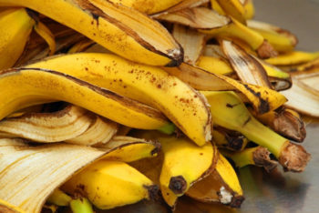 8 benefícios da casca de banana e como usar (com receitas) – Tua Saúde
